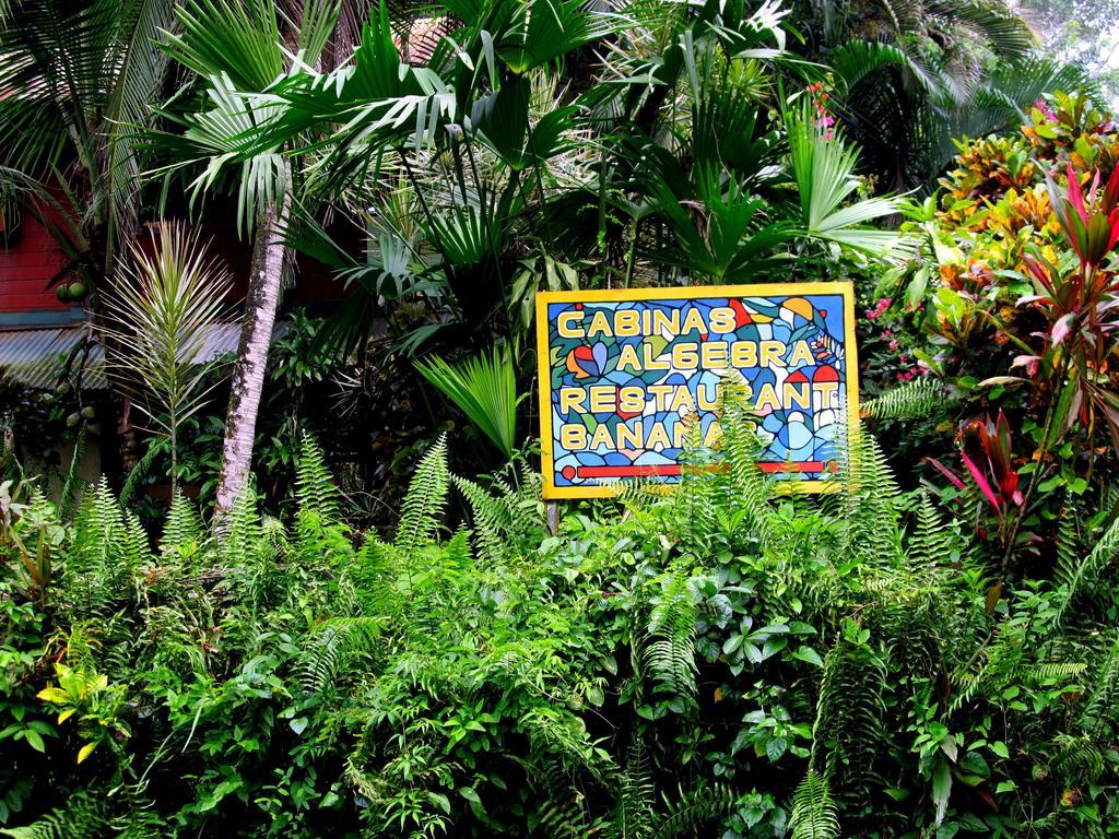 Cabinas Algebra Cahuita Kültér fotó