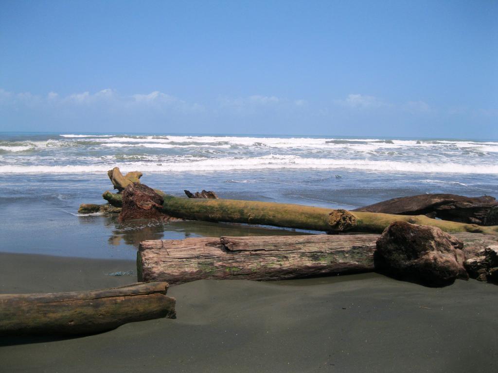 Cabinas Algebra Cahuita Kültér fotó