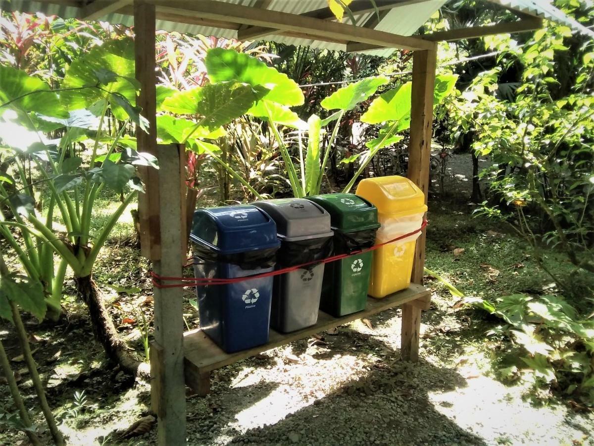 Cabinas Algebra Cahuita Kültér fotó