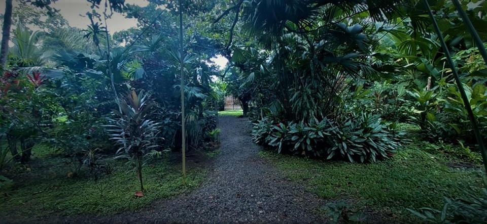 Cabinas Algebra Cahuita Kültér fotó