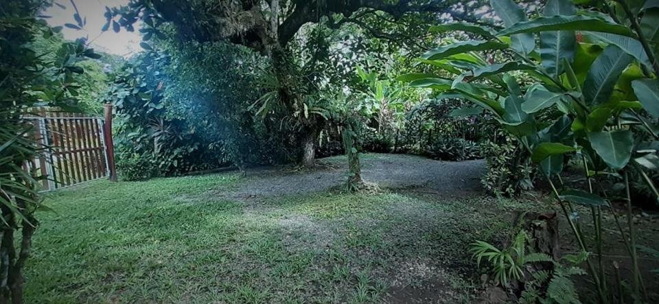 Cabinas Algebra Cahuita Kültér fotó