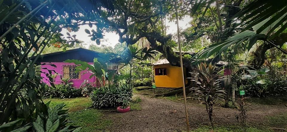 Cabinas Algebra Cahuita Kültér fotó
